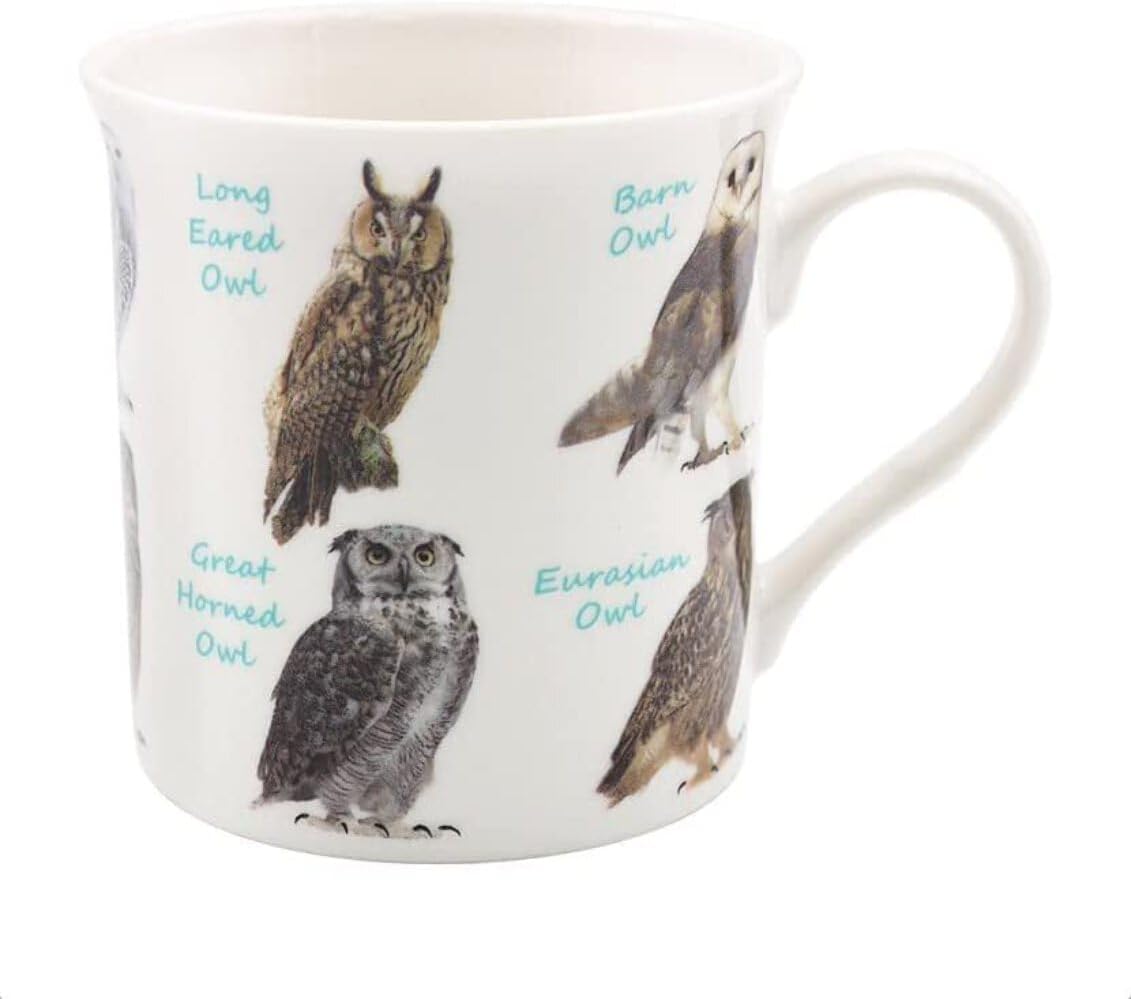 lesser and pavey LP95167 Ceramic Mug | Owl Species design | 1 Pc, Multi