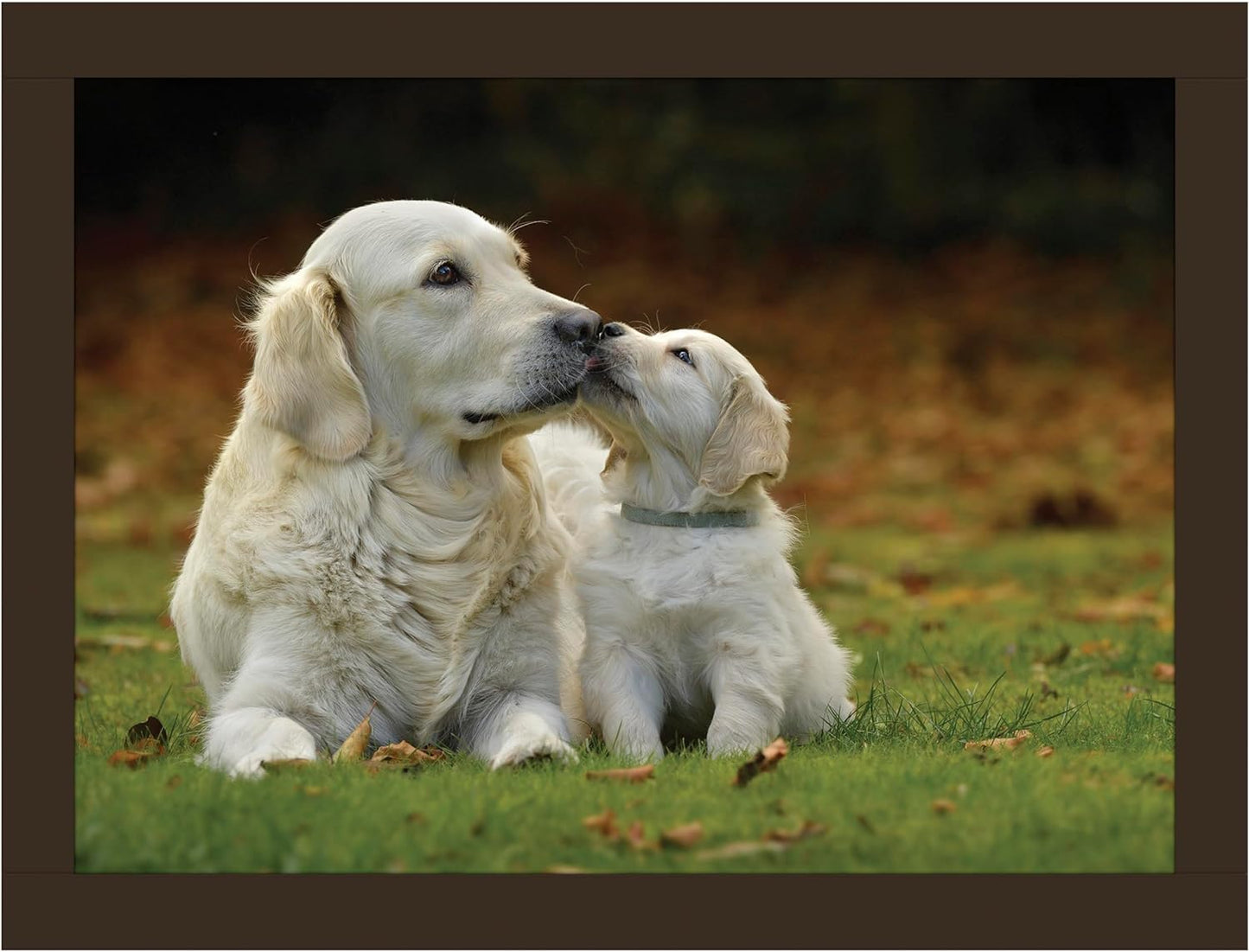 Golden Retrievers Faux Leather Lap Tray