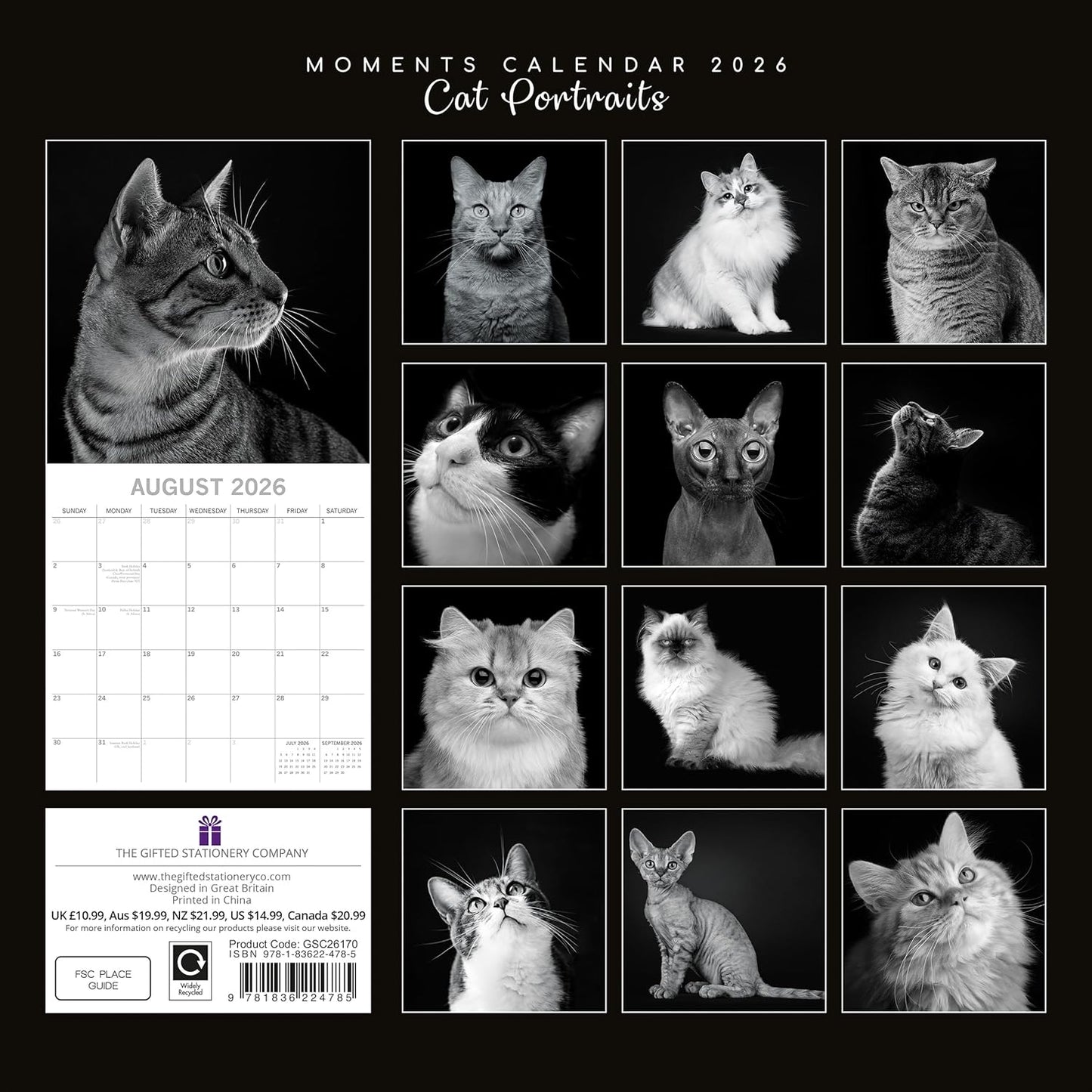 Black & White Cat Portraits 2026 Calendar 16 Month Family Square Wall 2026 UK | Planner with Large Grid for Home or Office Organisation - 2026/2025 UK