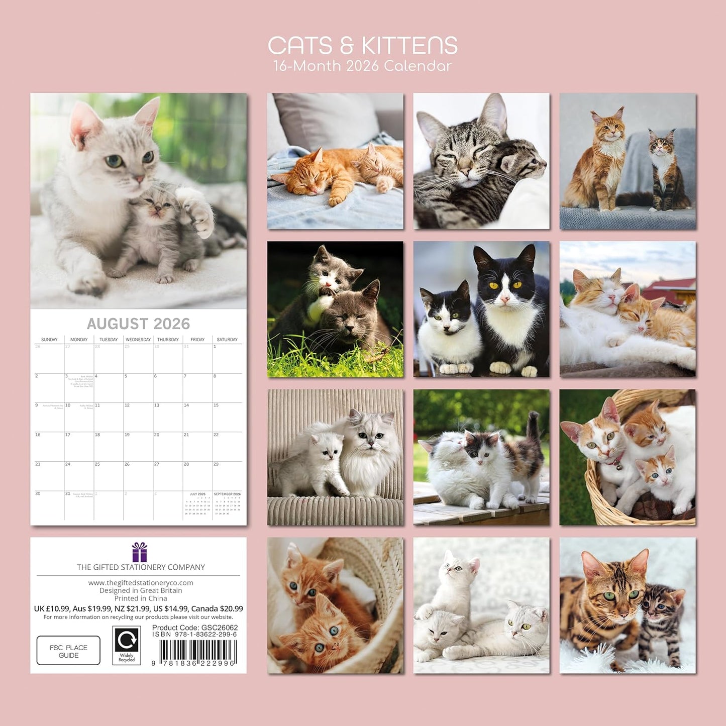 Cats & Kittens 2026 Calendar 16 Month (Sept 2025-Dec 2026) Family Square Wall Calendar 2026 UK | Planner with Large Grid for Home or Office Organisation - Animals 2026/2025