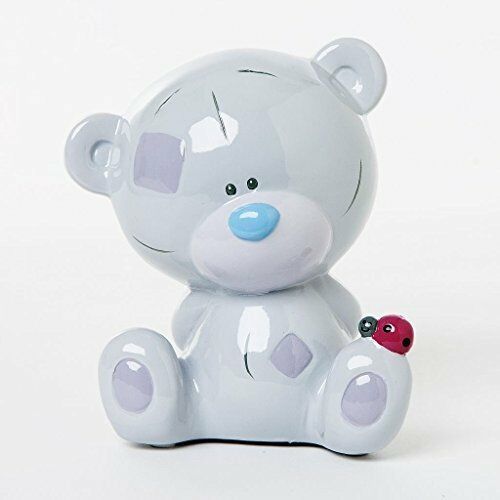 Tiny Tatty Teddy With Ladybird Bone China Moneybox