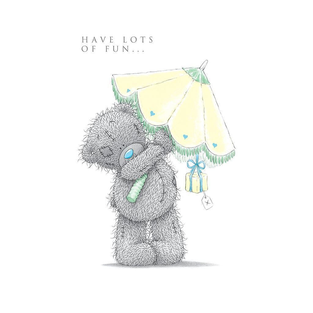 ME TO YOU BEAR HAVE LOTS OF FUN BIRTHDAY CARD NEW - hanrattycraftsgifts.co.uk