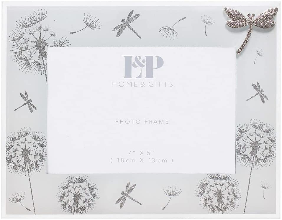 Lesser and Pavey Dragonfly and Dandelion Mirror Picture Frame