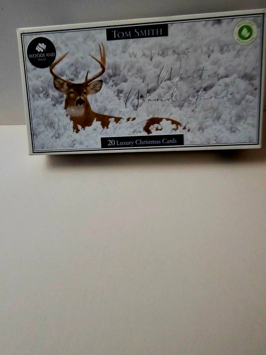 tom smith   walking in a winter wonderland  boxed cards