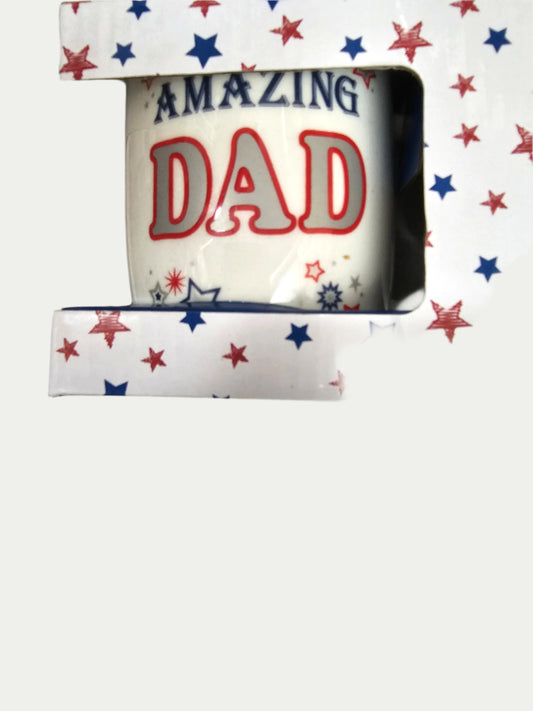AMAZING DAD   GIFT BOXED   MUG