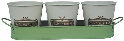 Head Gardener Wanted Set Of 3 Herb Pots
