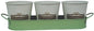 Head Gardener Wanted Set Of 3 Herb Pots