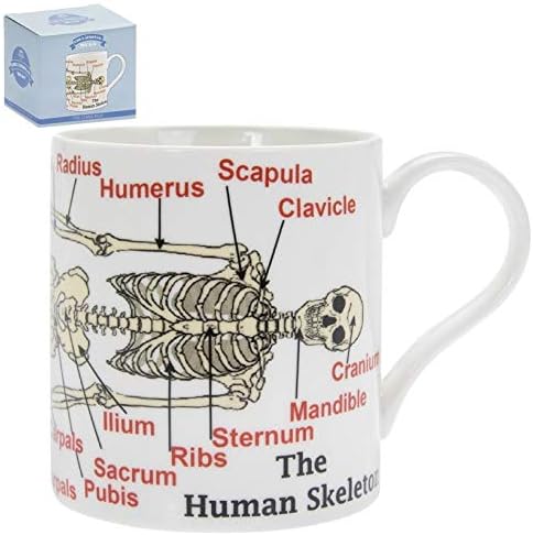 Human Skeleton Mug, Fine China, Multicolour,
