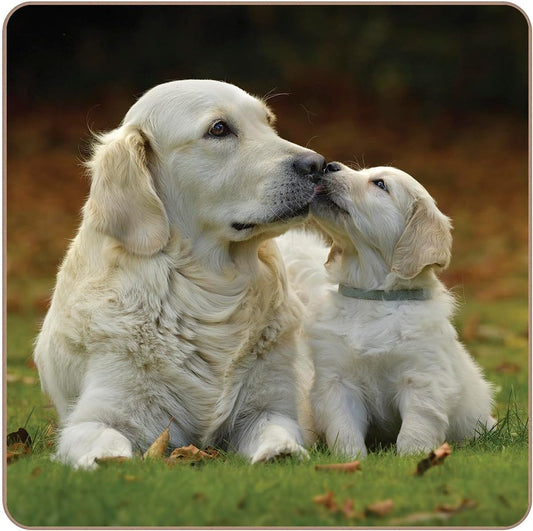 Rural Roots Golden Retrievers Coaster Pack of 4