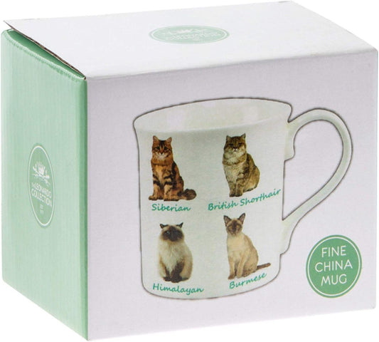 Leonardo Cats Mug, Fine China, Multicolour, 12 x 9 x 8 cm, 225 ml