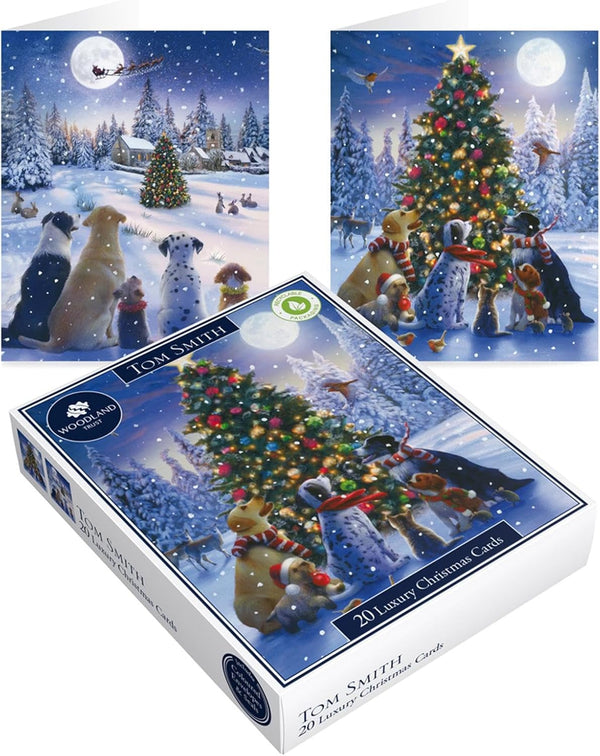 Tom Smith 20 Boxed Luxury Eco Friendly Christmas Cards 2 Cats & Dogs Designs