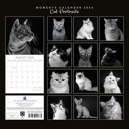 Black & White Cat Portraits 2026 Calendar 16 Month Family Square Wall 2026 UK | Planner with Large Grid for Home or Office Organisation - 2026/2025 UK