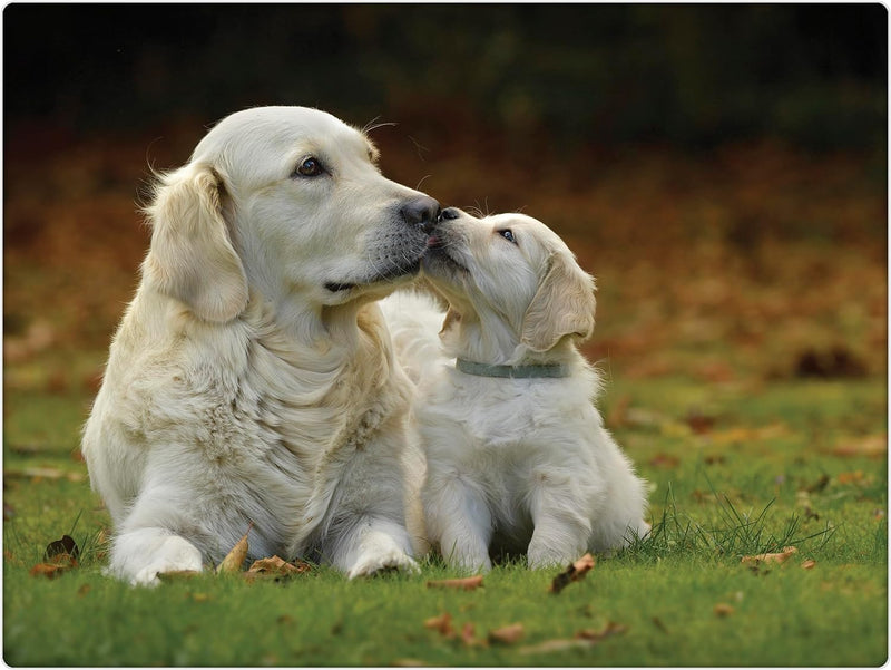 Rural Roots Golden Retrievers Worktop Saver