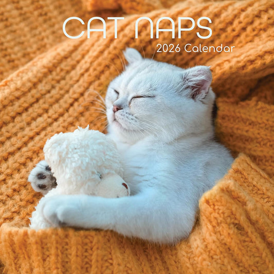 TGSC | Cat Naps 2026 Calendar 16 Month (Sept 2025-Dec 2026) Family Square Wall Calendar 2026 UK | Planner with Large Grid for Home or Office Organisation - Animals 2026/2025 Calendar