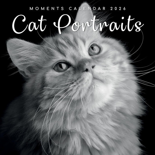 Black & White Cat Portraits 2026 Calendar 16 Month Family Square Wall 2026 UK | Planner with Large Grid for Home or Office Organisation - 2026/2025 UK