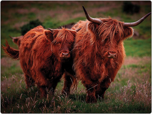 Rural Roots Highland Cows Worktop Saver