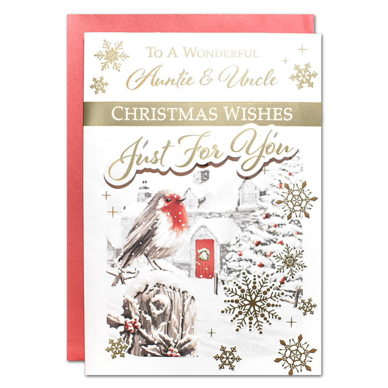 to a  wonderful auntie & uncle  Christmas  wishes card
