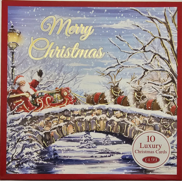 merry christmas  luxury christmas card  10