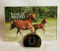 best of breed horse photo frame 6 x 4