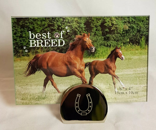 best of breed horse photo frame 6 x 4