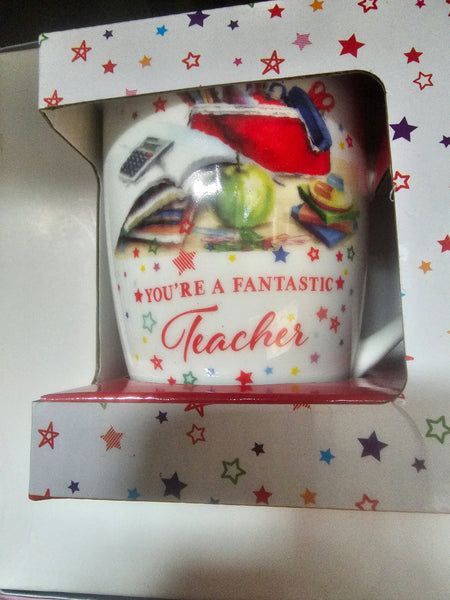 you're a fantastic teacher mug gift boxed