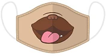 Reusable Face Covering - Non Medical - Size Small Twin Pack (Mopps Pug)