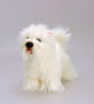 Best in Show - 20cm Dogs with Rosette - hanrattycraftsgifts.co.uk