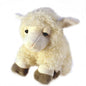 Sheep with Wooly Coat, Plush Soft Toy, Keel Toys - hanrattycraftsgifts.co.uk