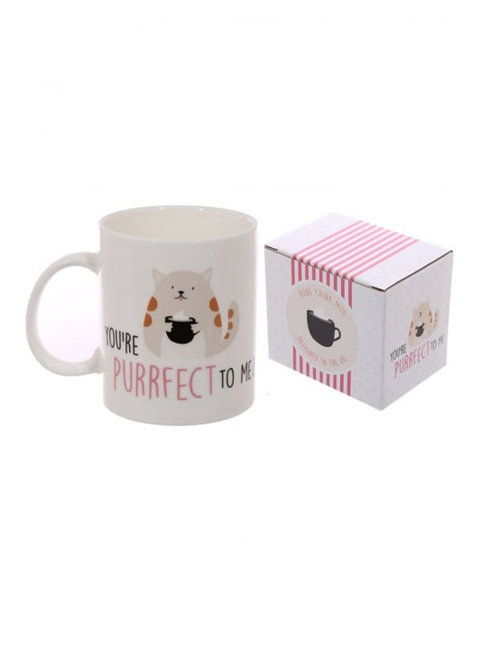 Cute Cat Slogan New Bone China Mug - hanrattycraftsgifts.co.uk