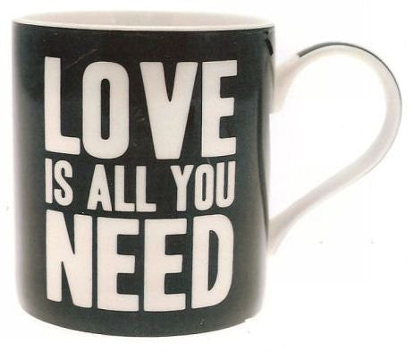 Words of Wisdom Love is all you need Mug In Gift Box - hanrattycraftsgifts.co.uk