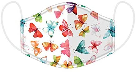 Reusable Face Covering - Non Medical Large Size Twin Pack (Butterfly House)