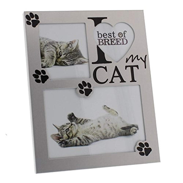 I love my Cat Brushed Aluminium Photo Frame Juliana Best of Breed Collection - hanrattycraftsgifts.co.uk