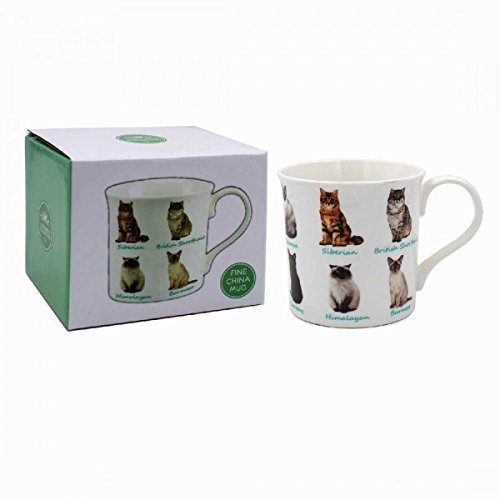 Leonardo Cats Mug, Fine China, Multicolour, 12 x 9 x 8 cm - hanrattycraftsgifts.co.uk