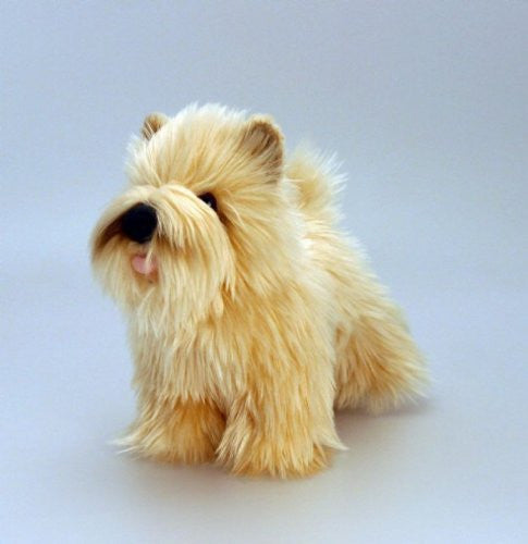 Best in Show - 20cm Dogs with Rosette - hanrattycraftsgifts.co.uk
