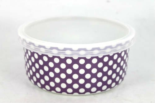 LESSER & PAVEY CERAMIC TRAVEL SNACK BOX (PURPLE) - hanrattycraftsgifts.co.uk