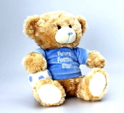 Gorgeous Plush Cuddly 25cm Teddy Bear Wearing Future Football Star Shirt And Carrying His Football - hanrattycraftsgifts.co.uk