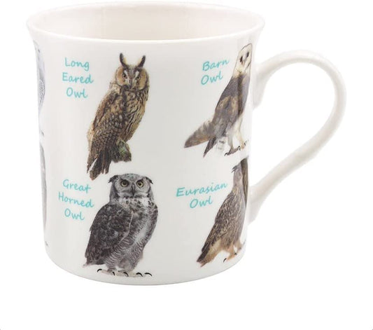 lesser and pavey LP95167 Ceramic Owl Mug, Multicolor