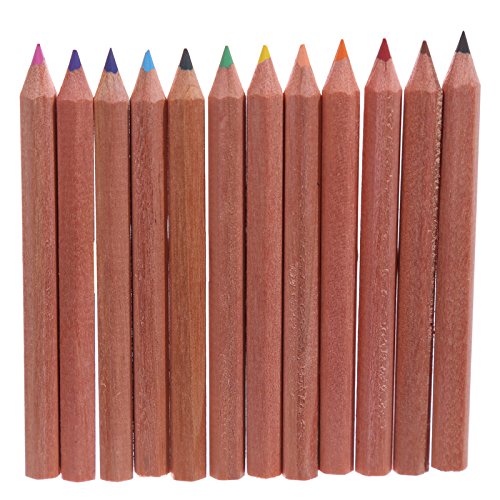 Fun Kids Colouring Pencil Tube - Zoo Design - hanrattycraftsgifts.co.uk