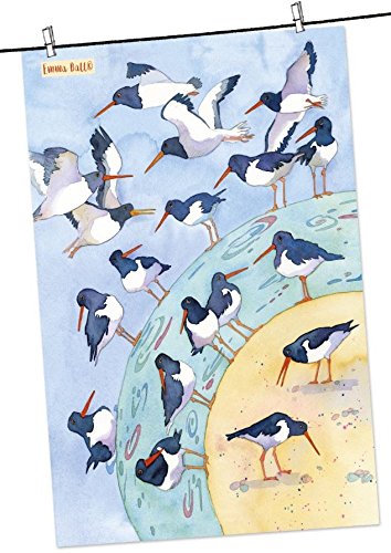 Oystercatcher Birds Tea Towel - Emma Ball - hanrattycraftsgifts.co.uk