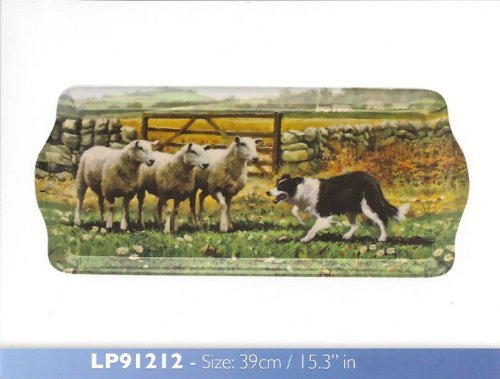 Macneil Collie & Sheep 39cm Melamine Sandwich Tray Leonardo LP91212 - hanrattycraftsgifts.co.uk