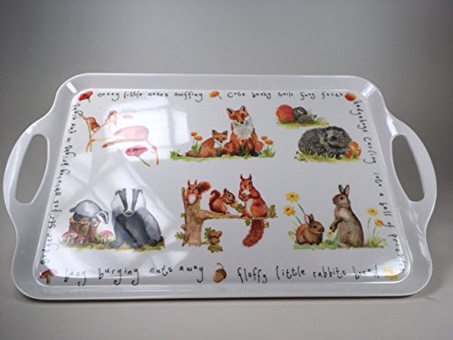 British Wildlife Melamine Type Tray - hanrattycraftsgifts.co.uk