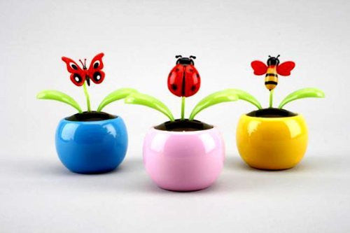 Solar Powered Insect Rocker Flip Flaps - Assorted Single - hanrattycraftsgifts.co.uk