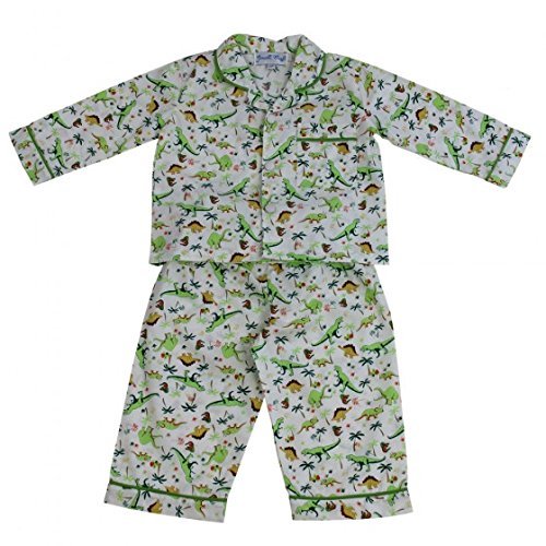 Powell craft Boys Pyjamas - Dinosaur design (2-3 years) - hanrattycraftsgifts.co.uk