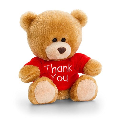 Keel Toys Pipp Plush Bear in Thank You T-Shirt (One Size) (Red) - hanrattycraftsgifts.co.uk