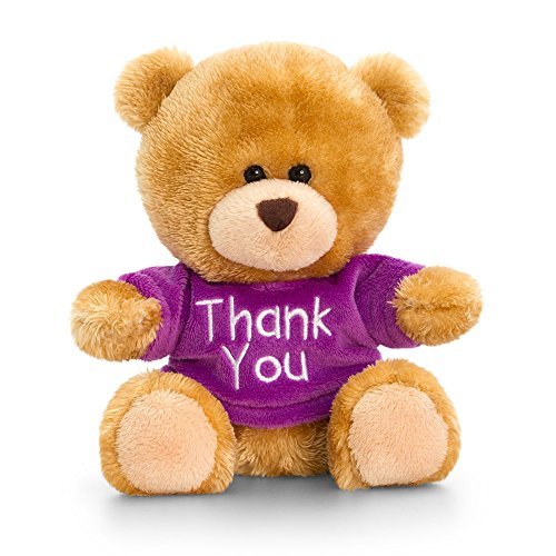 Keel Toys Pipp Plush Bear in Thank You T-Shirt (One Size) (Purple) - hanrattycraftsgifts.co.uk