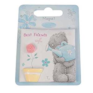 Me to You Bear Best Friends Magnet - hanrattycraftsgifts.co.uk