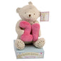 Button Corner Bear Holding Number "21" Birthday Gift Age 21ST - hanrattycraftsgifts.co.uk