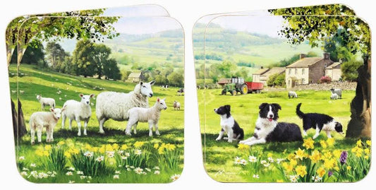 Coaster Border Collie and Sheep, 4 pieces