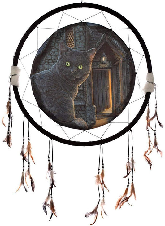Puckator Decorative 60cm Dreamcatcher-Cat Design What Lies Within, Multi, Height Width 61cm Depth 2cm