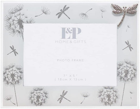 Lesser and Pavey Dragonfly and Dandelion Mirror Picture Frame